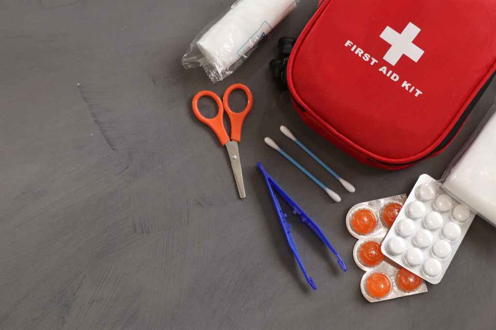 Putting Together a First Aid Kit for Your Pet